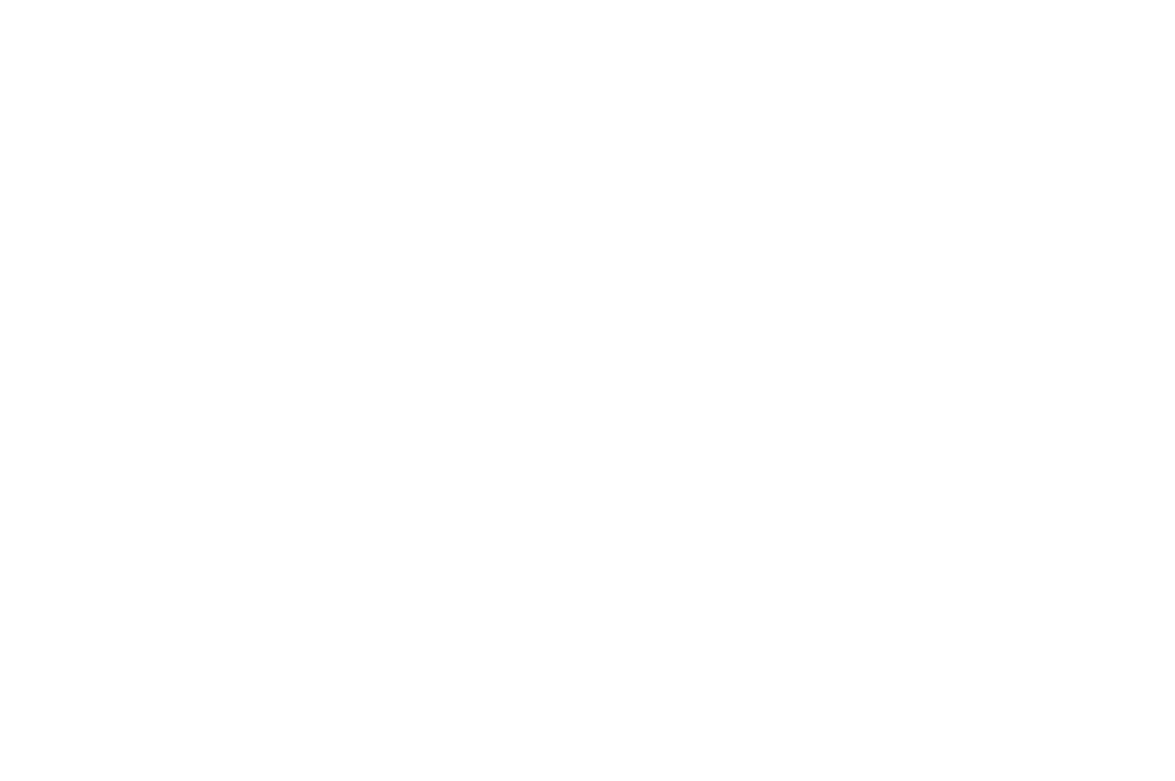 VPT_DEE_Endorsed_White
