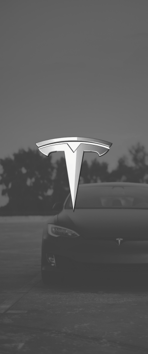 tesla car parked on road