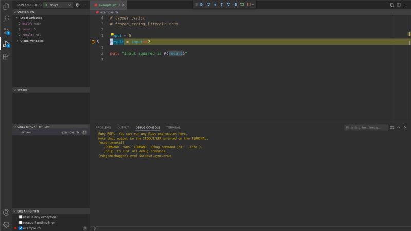Code Pauses On Every Raise Issue 796 Rubyide Vscode Ruby Github - Professional Ocean Texture - Full HD
