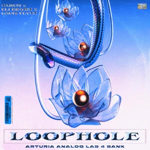 Up North Music Group – LOOPHOLE ARTURIA ANALOG LABS 4 (SYNTH PRESET)