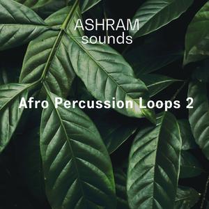 Riemann Kollektion – ASHRAM Afro Percussion Loops 2 (WAV)