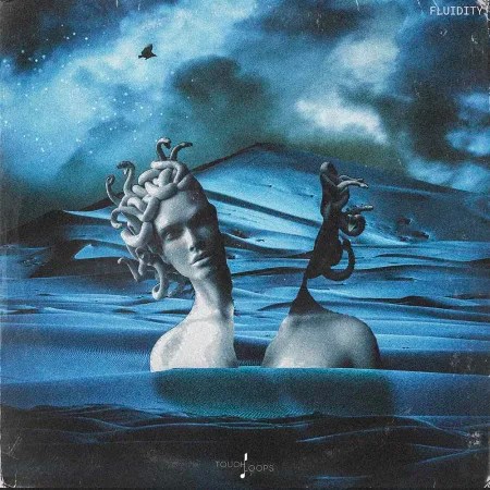 Touch loops – Fluidity (WAV)