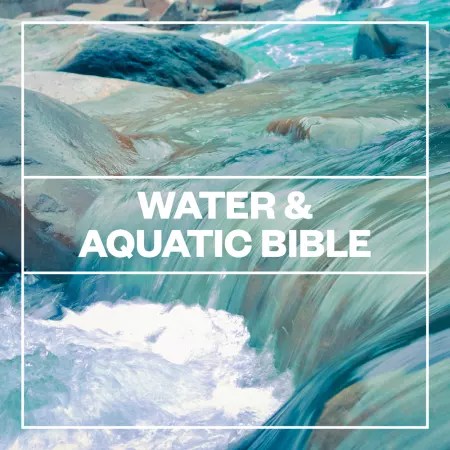 Blastwave FX – Water and Aquatic Bible (WAV)