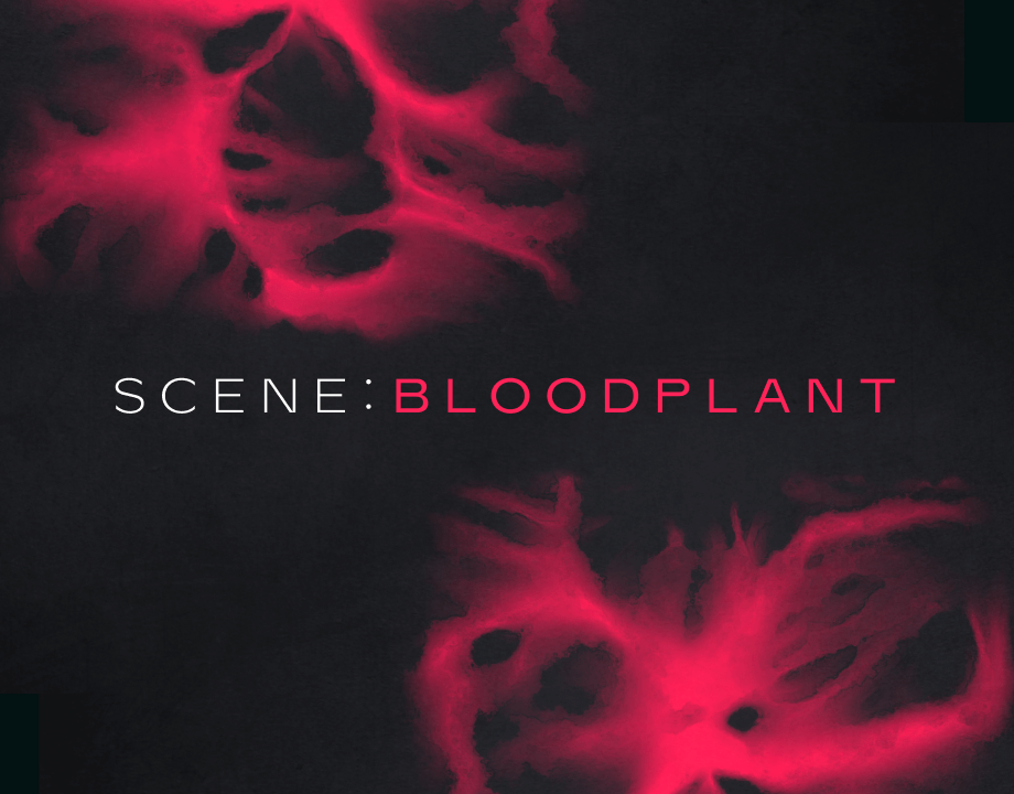 Native Instruments – Scene Bloodplant 1.0.1 KONTAKT