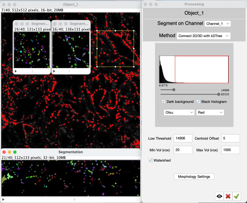 3d Segmentation Imagej Documentation Wiki - 4K Minimal Backgrounds for Desktop