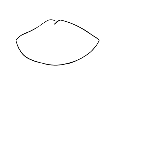 как нарисовать енота карандашом поэтапно для начинающих