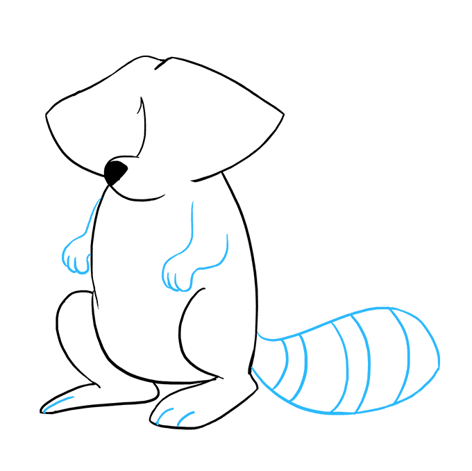 как нарисовать енота карандашом поэтапно для начинающих