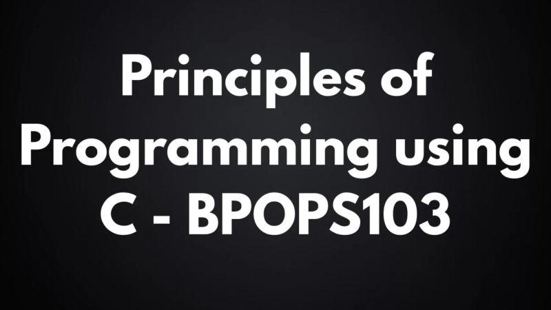 Bpops203 Principles Of Programming Using C Lab Manual Pdf - Space Patterns - Beautiful Ultra HD Collection