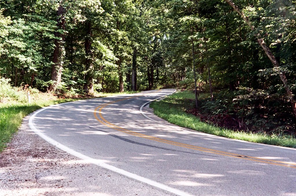 The Shady Spot Along the Road