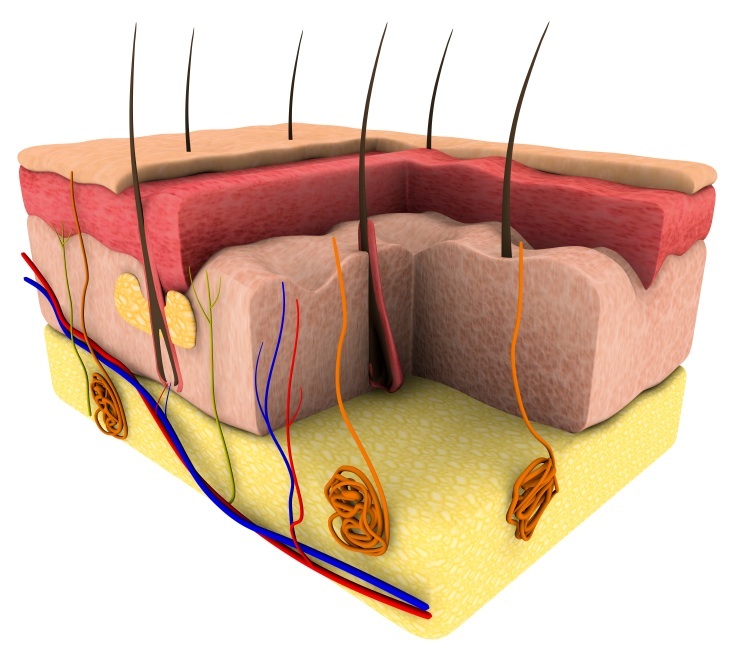 Uncovering the Long-Term Battle: Stevens-Johnson Syndrome Survivors' Stories (2026)
