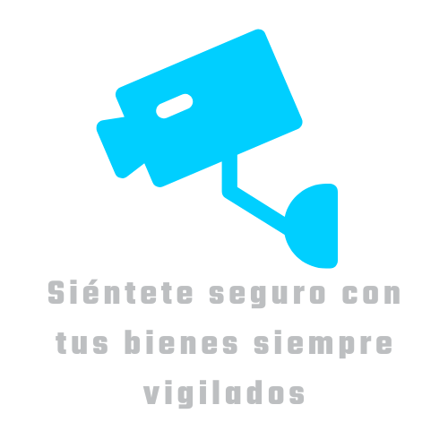 11.webp
