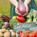 Lincolnshire Corporate Center Hosts Farmer’s Market