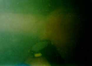 low visibility in diving 的圖片結果