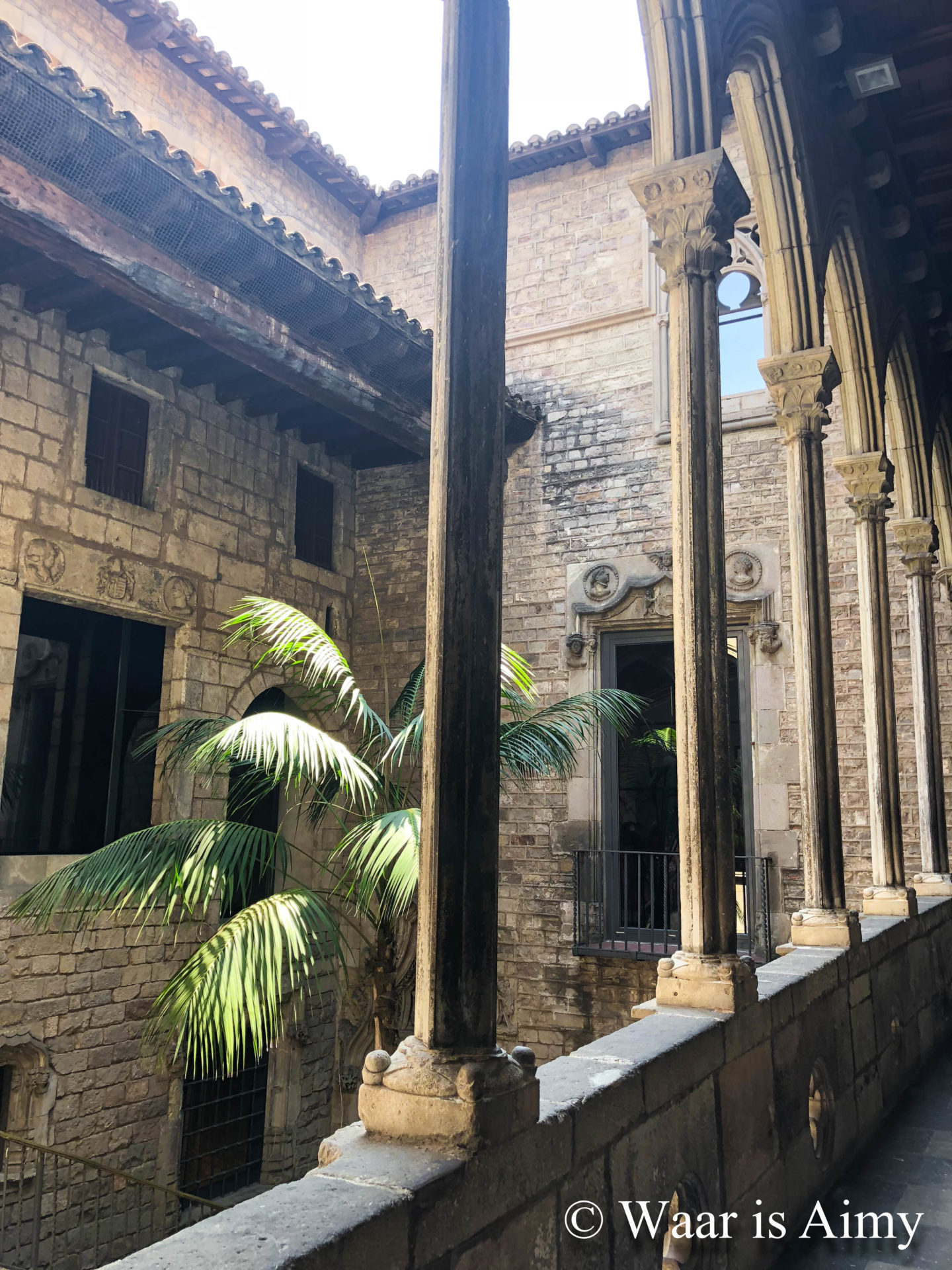 Waar is Aimy - Picasso Museum