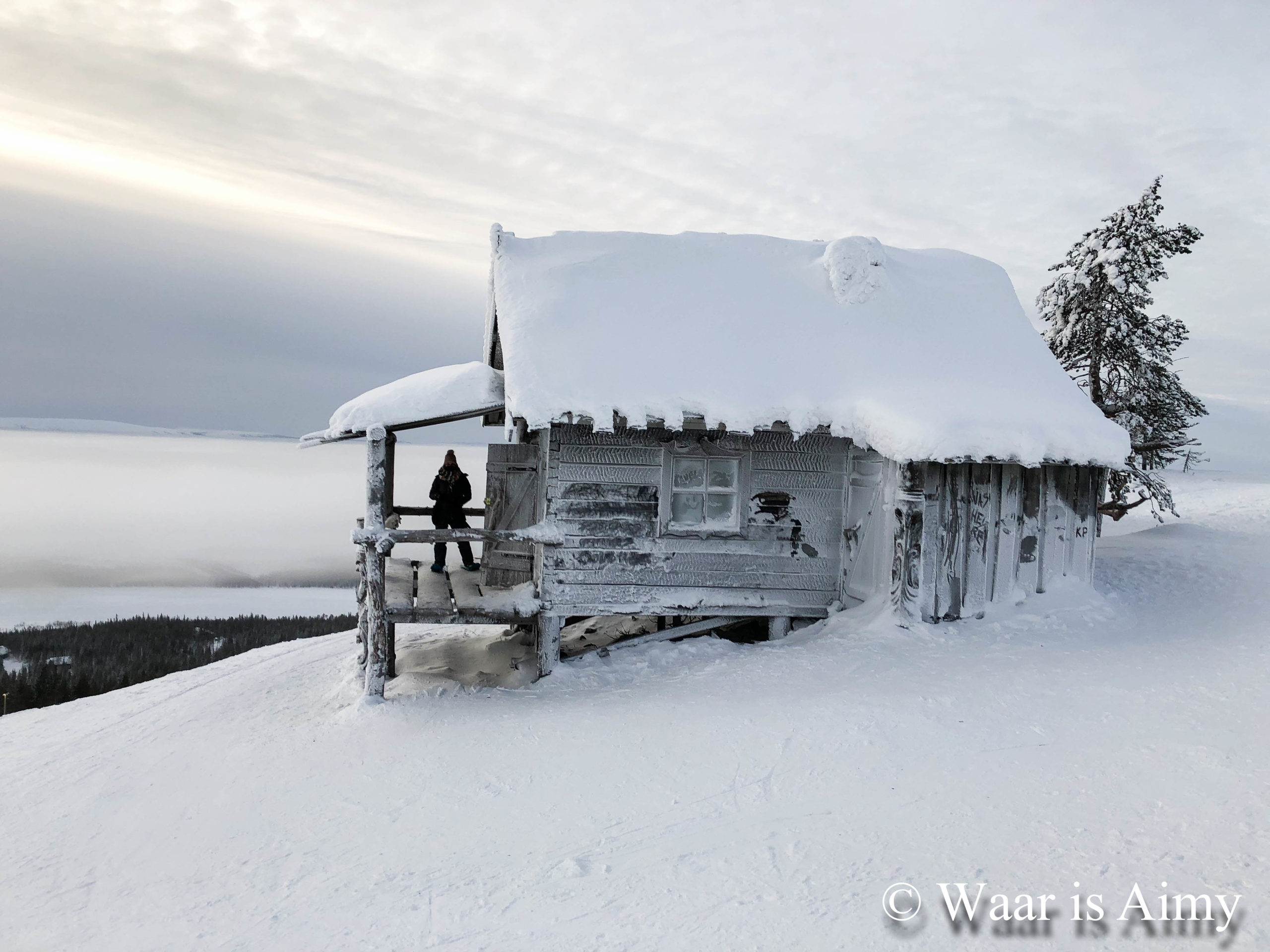 Santa' s Cabin