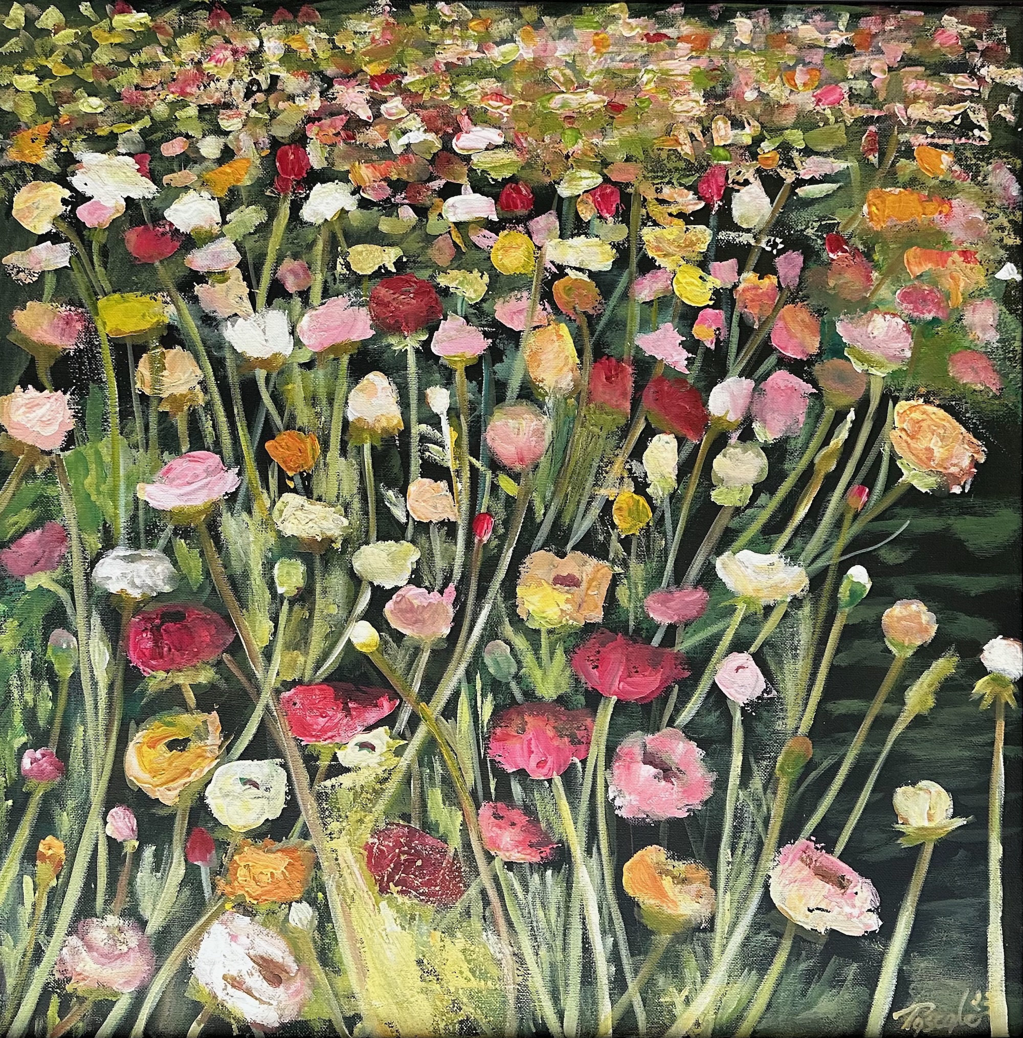 Pascale Massoud — Roses — 2023