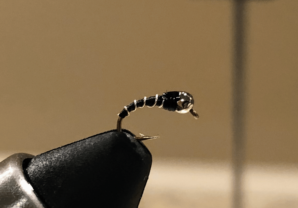 Eight Reasons the Zebra Midge is the Perfect First Fly to Tie - WADEOUTTHERE