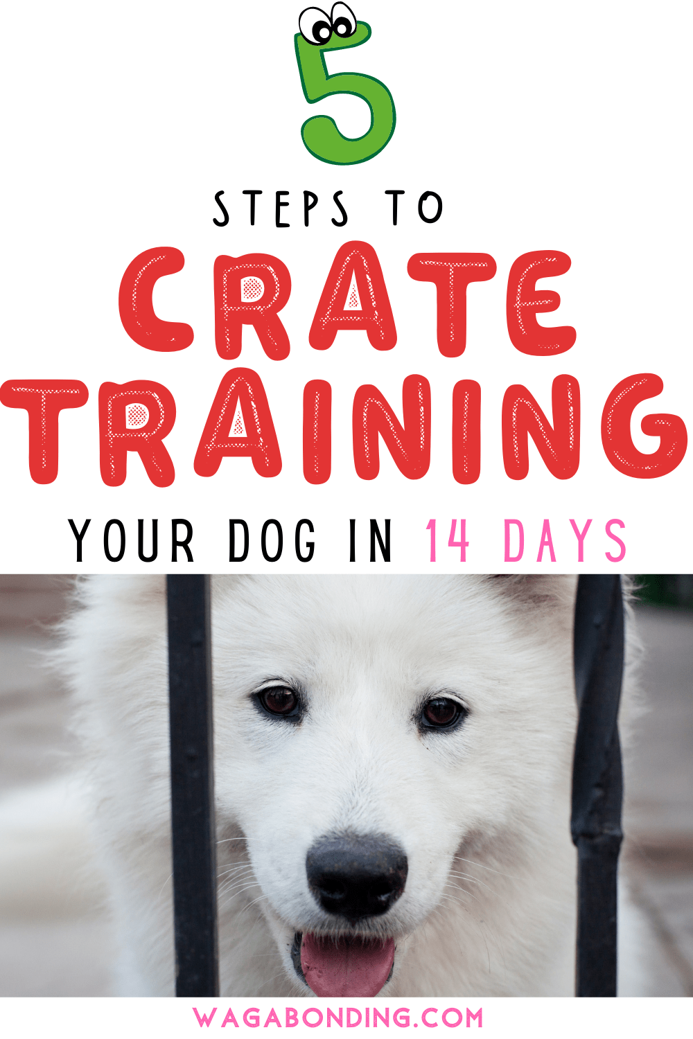 crate training steps