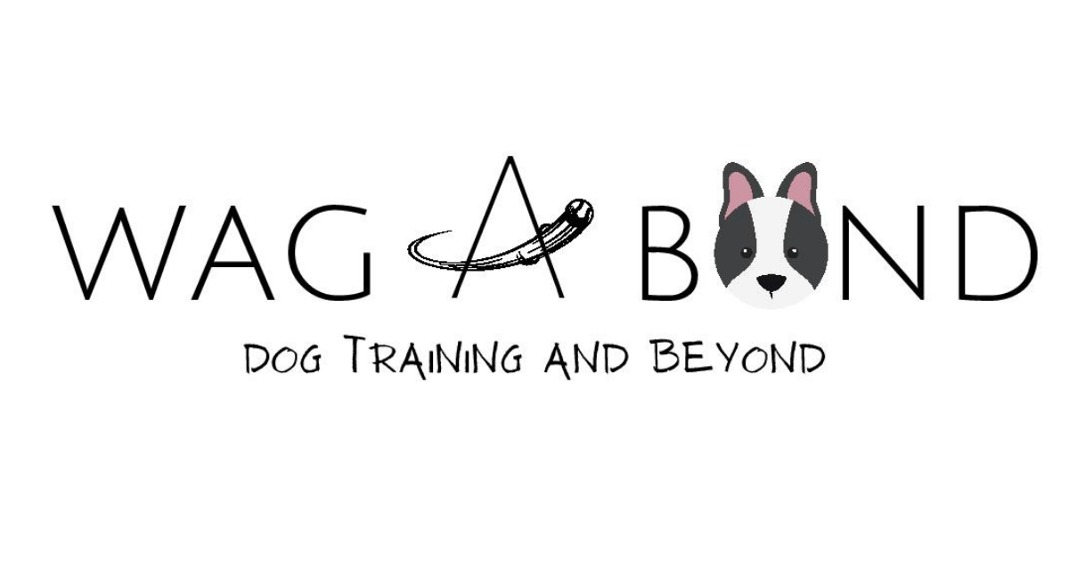 Wagabonding Dog Training and Beyond