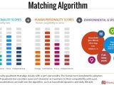 Matching Algorithm Wagbrag Pet Wellness Health Rescue And Adoption