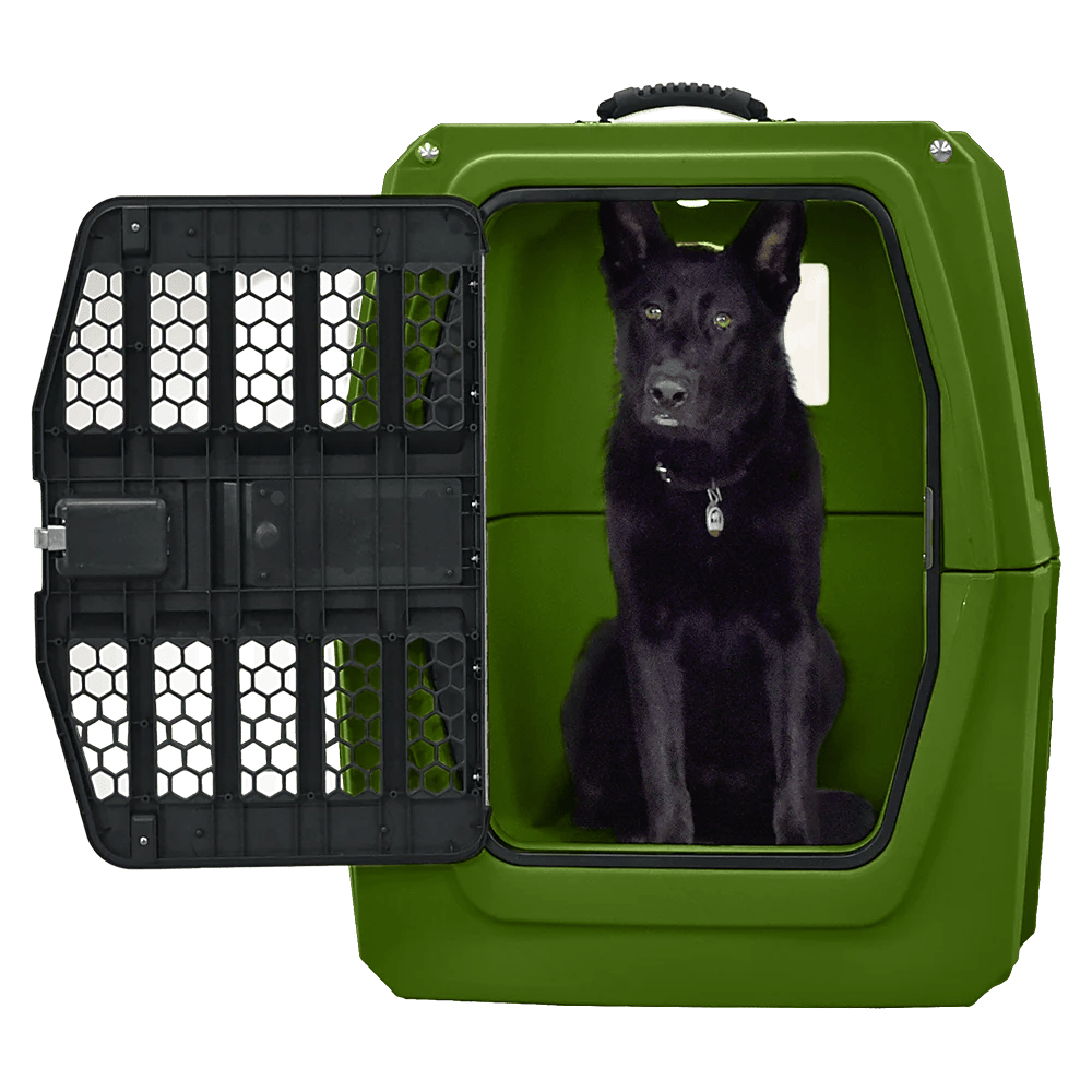 Large_DU_Green_Dog_View_Image_1000x