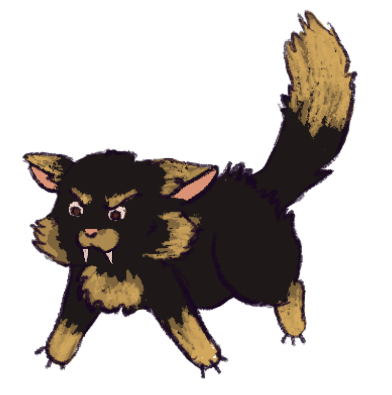 Gatto