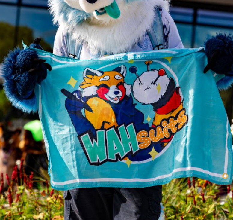 Custom printed flags