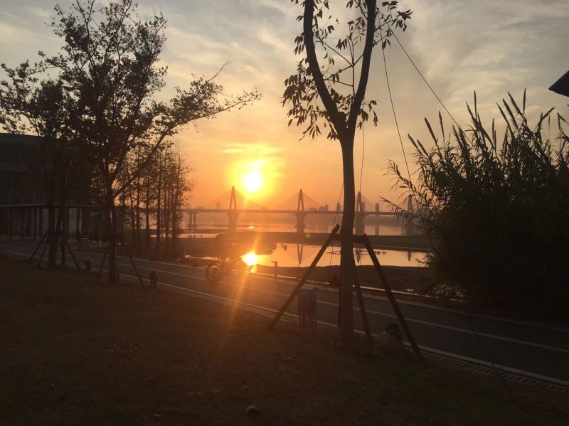 Gallery Waitayaka - Download High Quality Light Art | Ultra HD