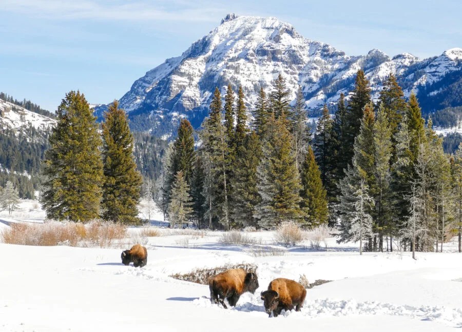 Lamar Valley All You Need To Know BEFORE You Go 2026 WakaAbuja Lamar Valley 