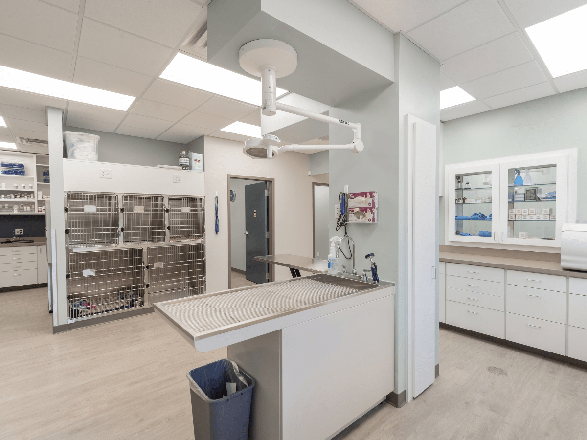 Best vet hospital in raleigh, nc