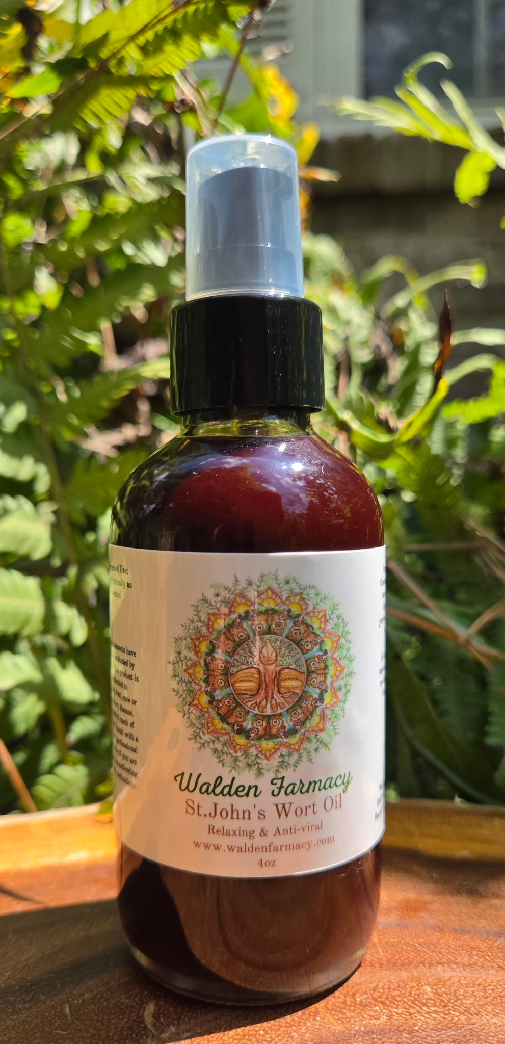 St. John's Wort Massage Oil