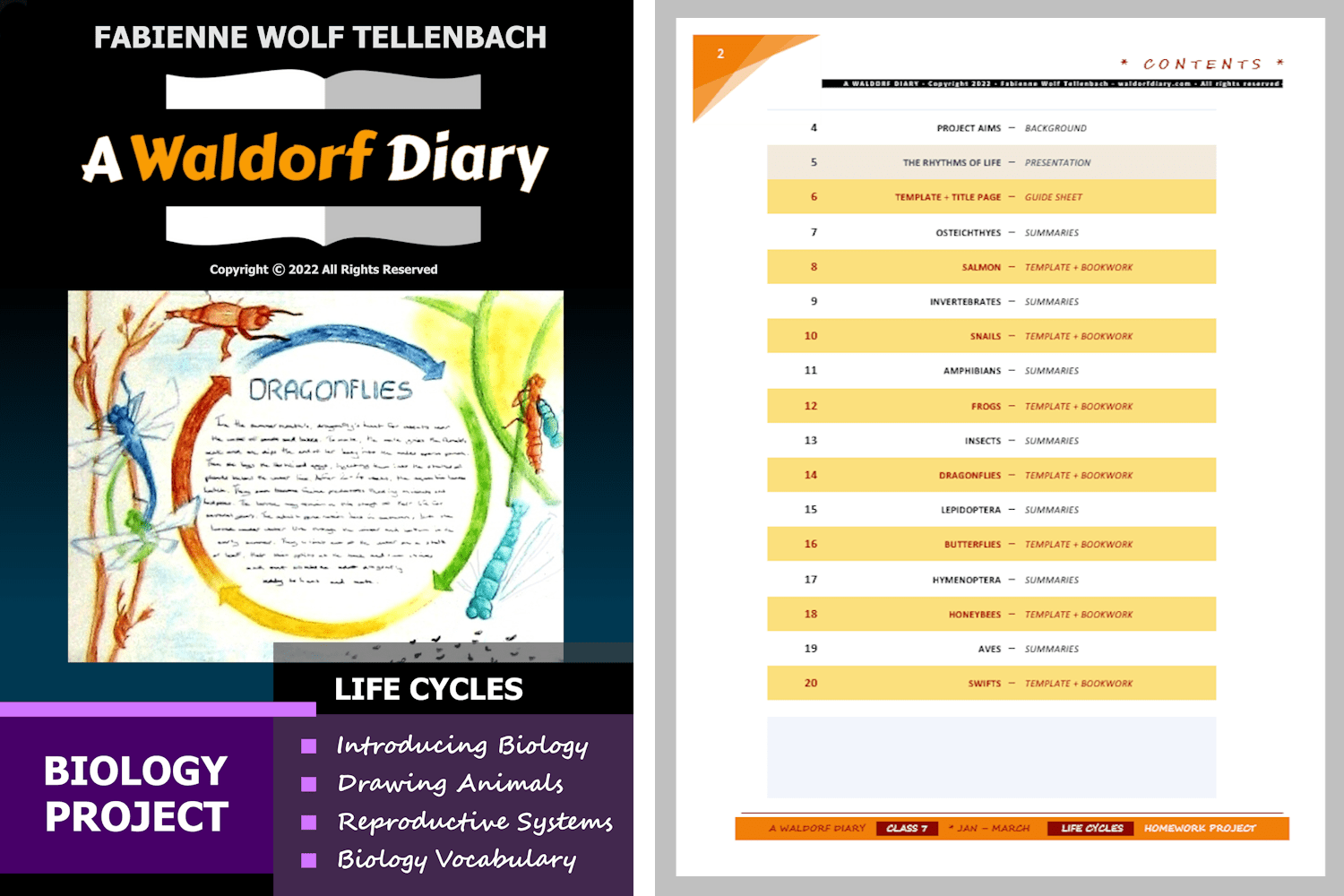 Life Cycles Biology Project, Class 7
