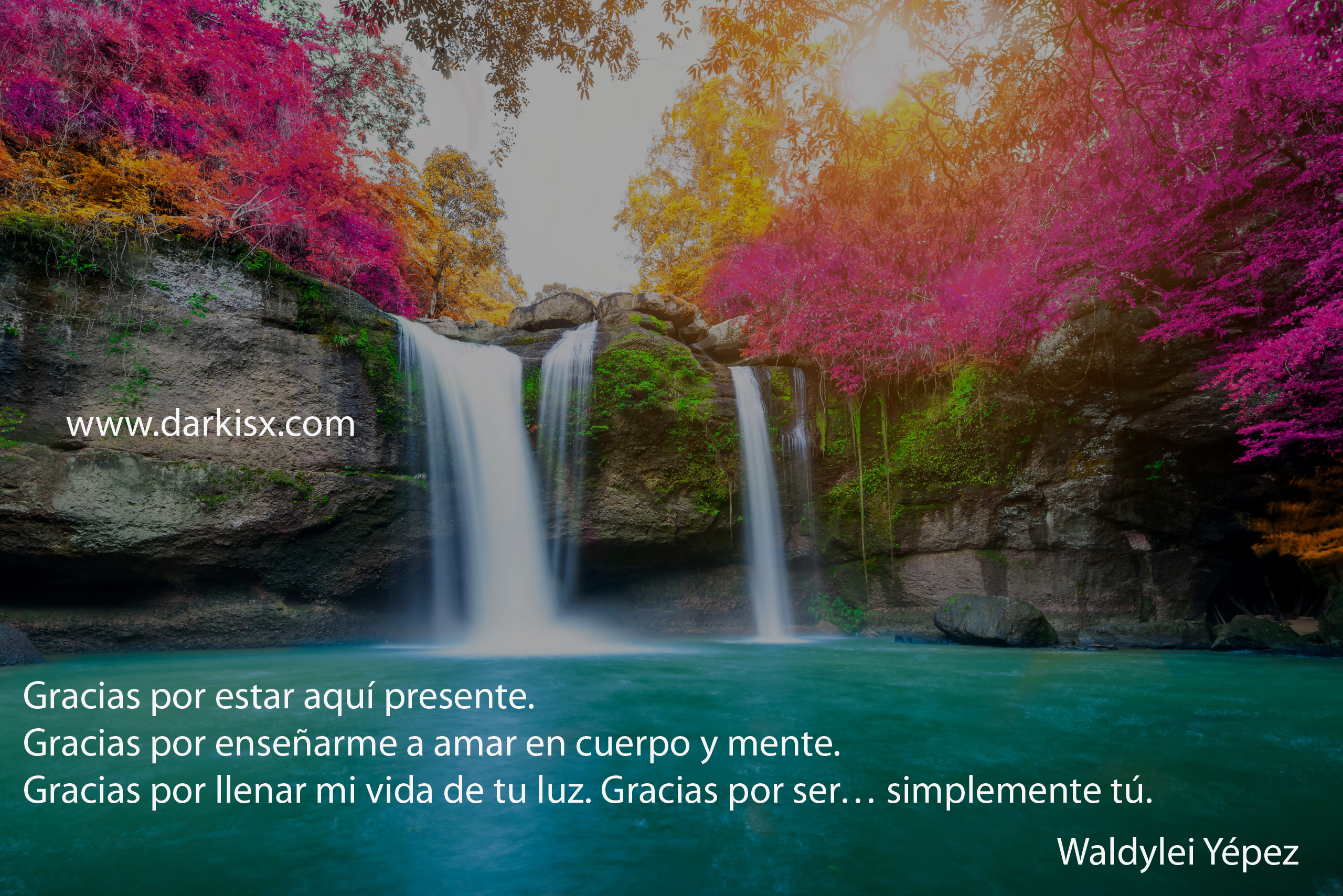Imagen del texto Simplemente tú