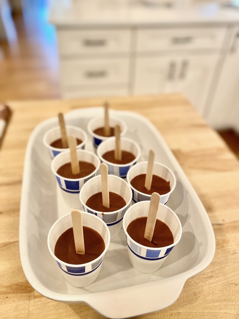 Homemade Coconut Milk Fudge Pops