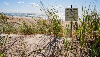 Grains Of Gratitude