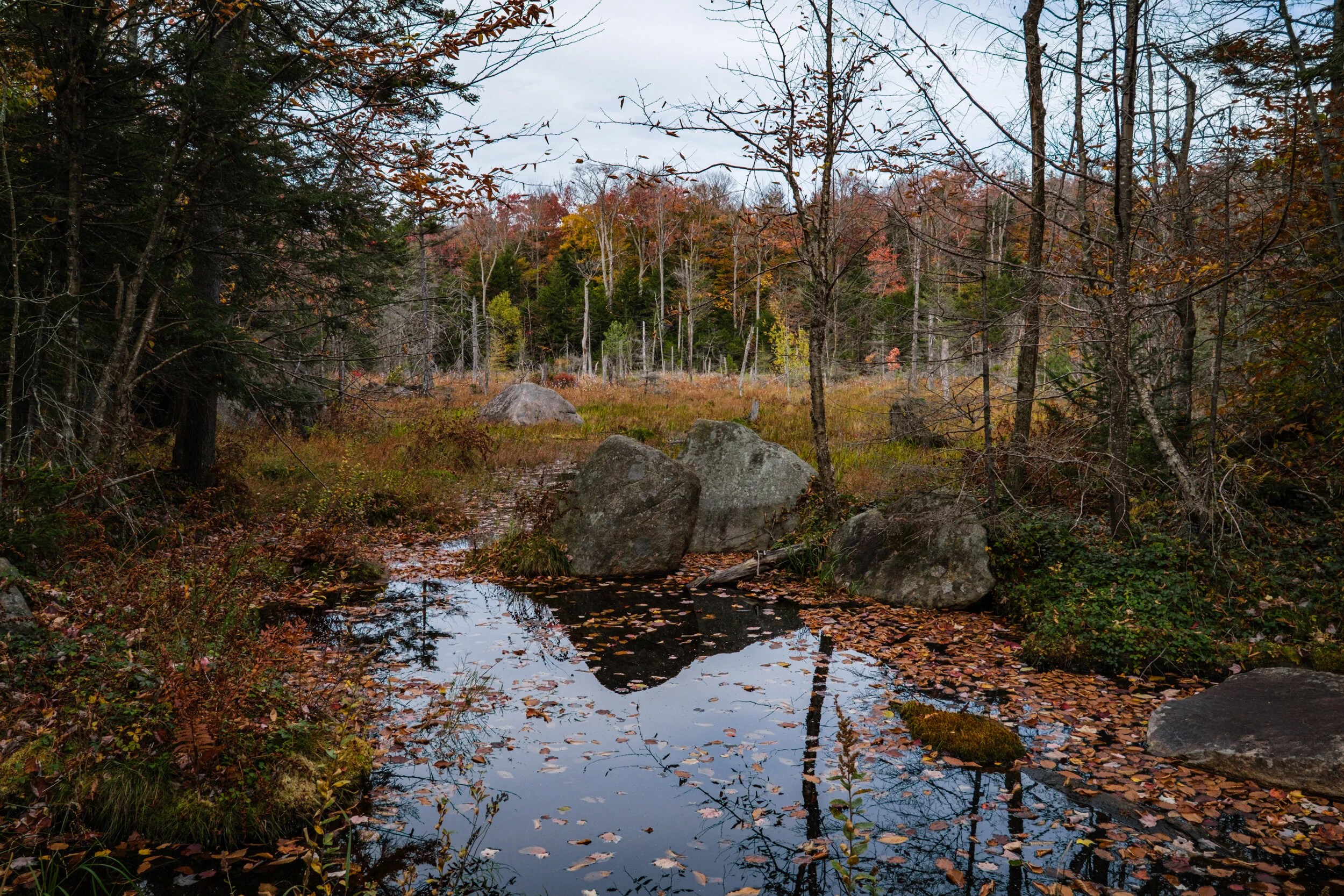 Destination Long Pond Road