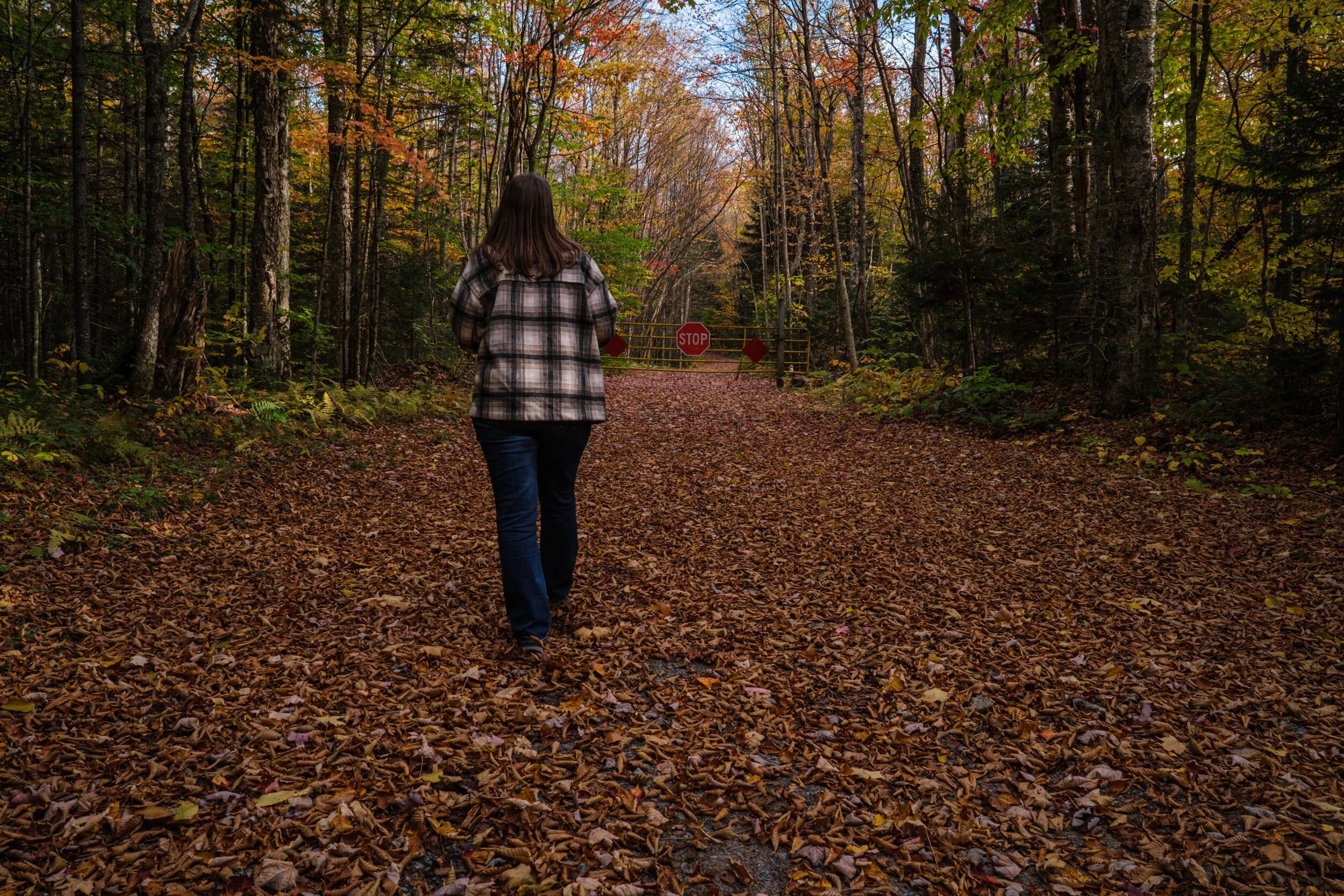 Destination Long Pond Road