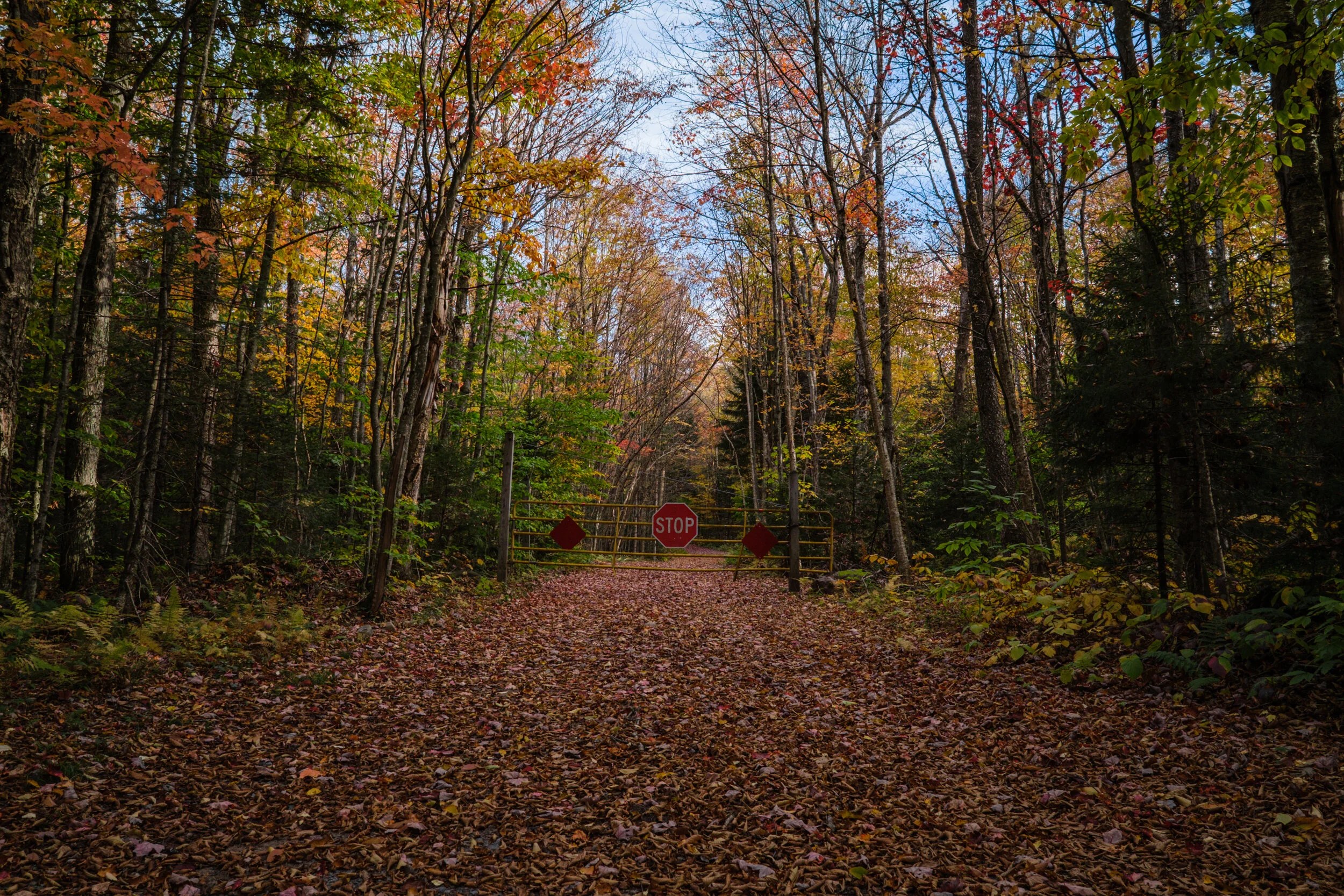 Destination Long Pond Road