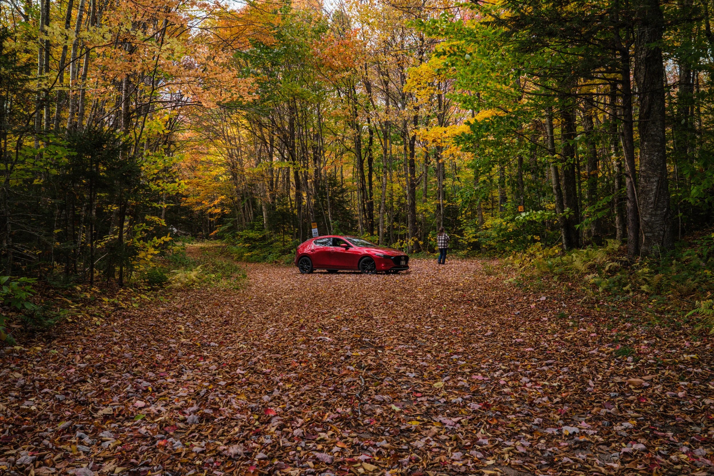 Destination Long Pond Road