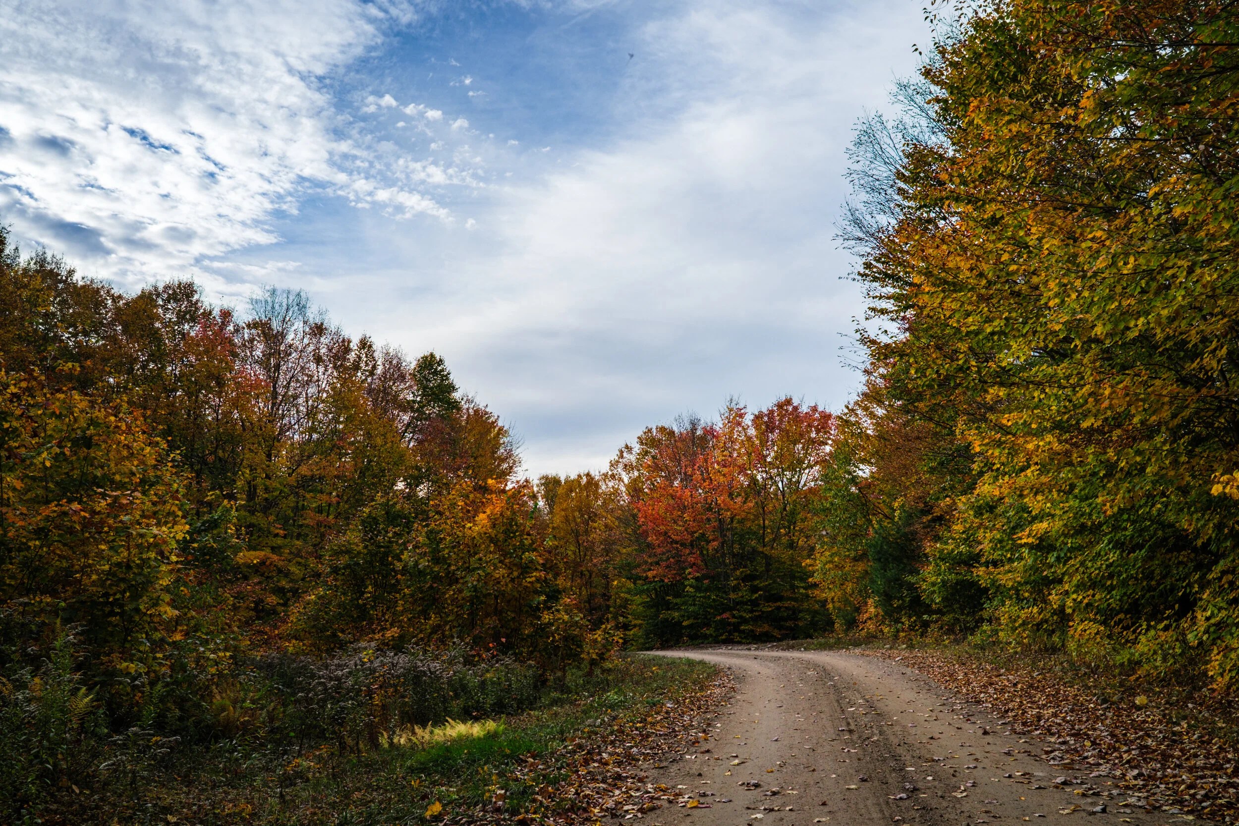 Destination Long Pond Road