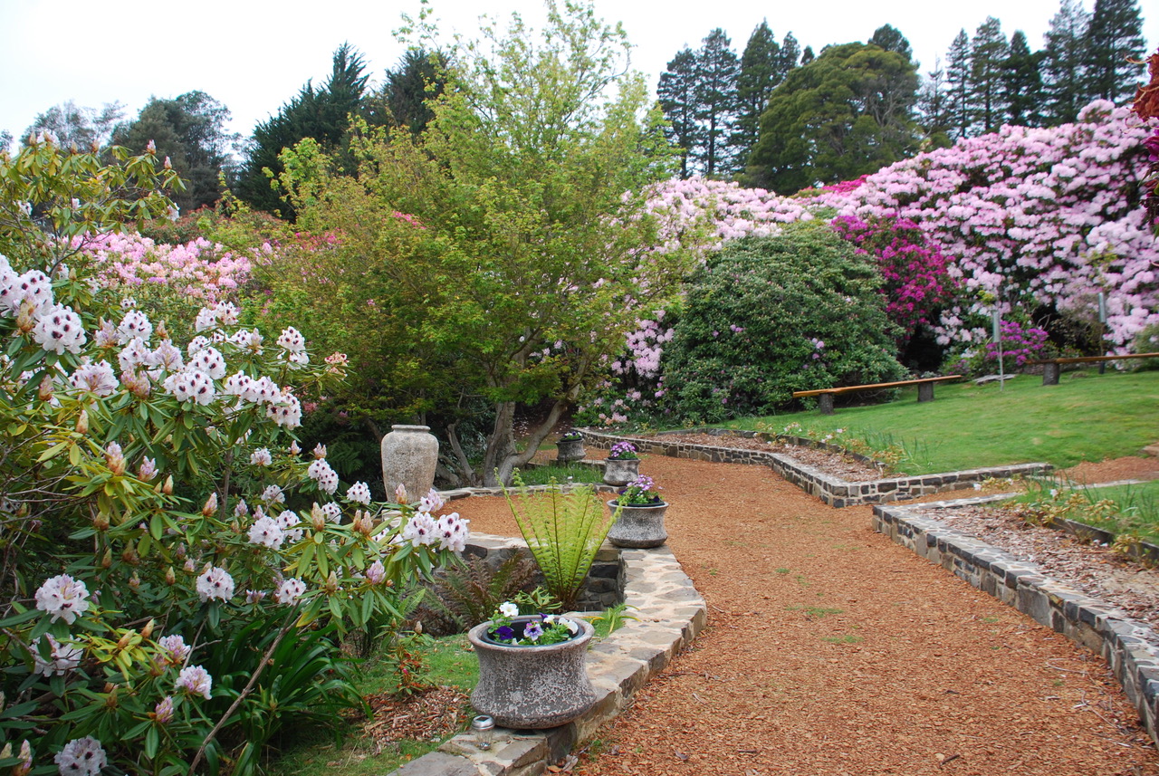Screenshot of Lalla Flower Farm