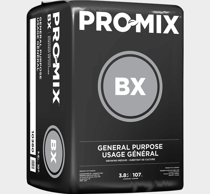 bx