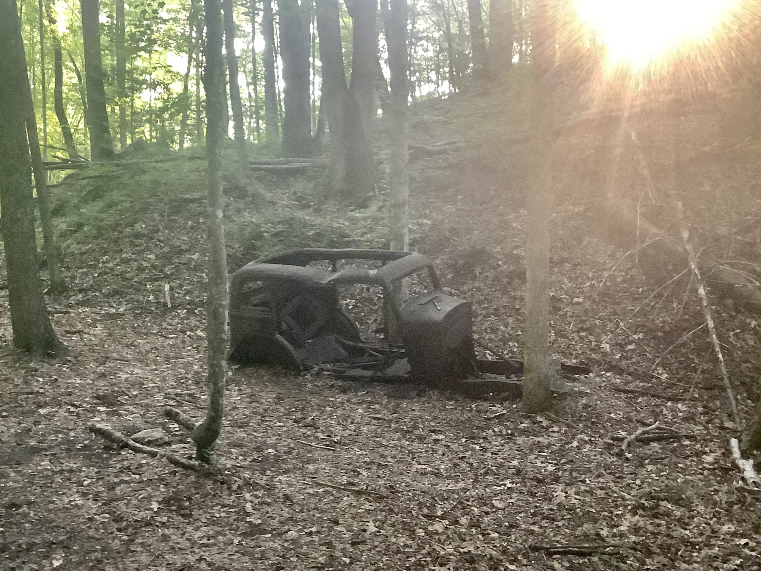 Benton Mackaye Trail – pic