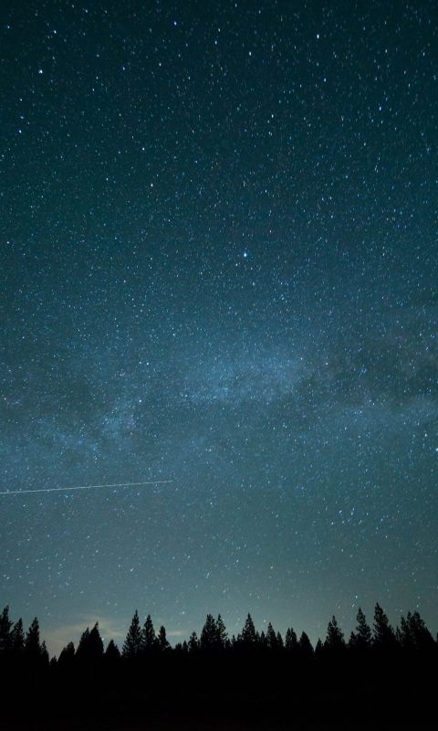 Asus Rog Phone Wallpapers