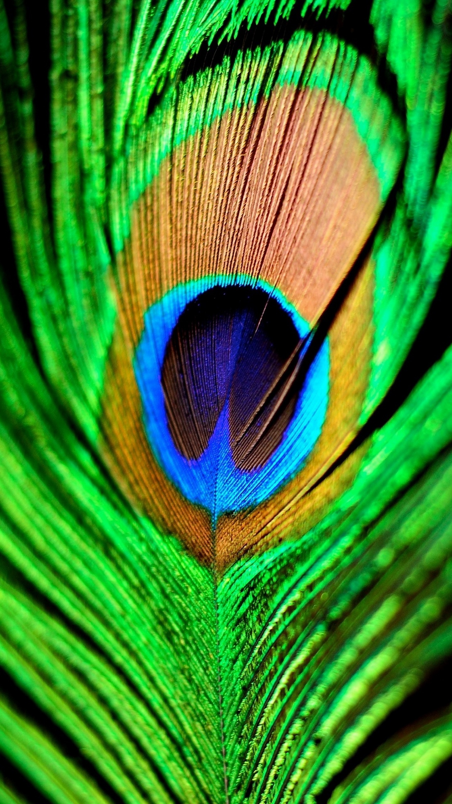 Free for commercial use ✓ no attribution . Wallpapercom For Mobile Group 54