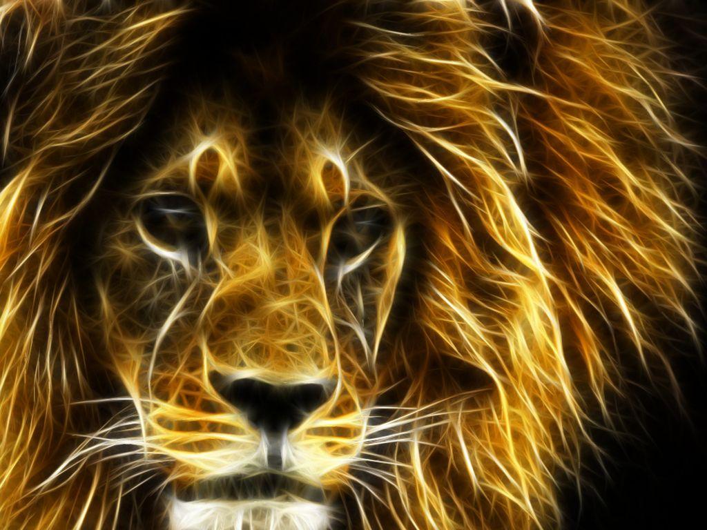 Download and use 1,000+ cow images for free. Beautiful Lion Wallpapers Top Free Beautiful Lion Backgrounds Wallpaperaccess