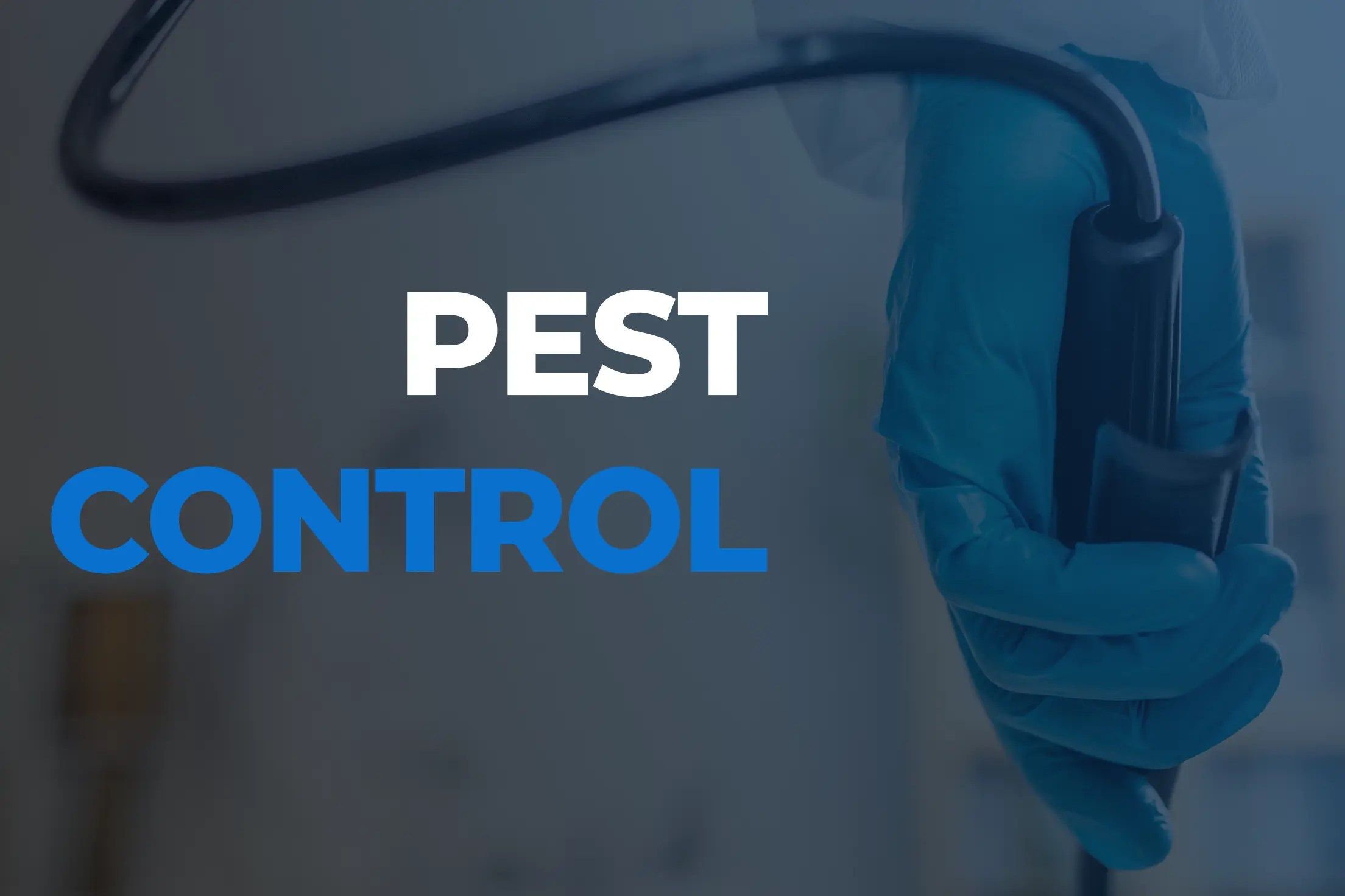 Pest Control Wallpapers Top Free Pest Control Backgrounds 10678036 