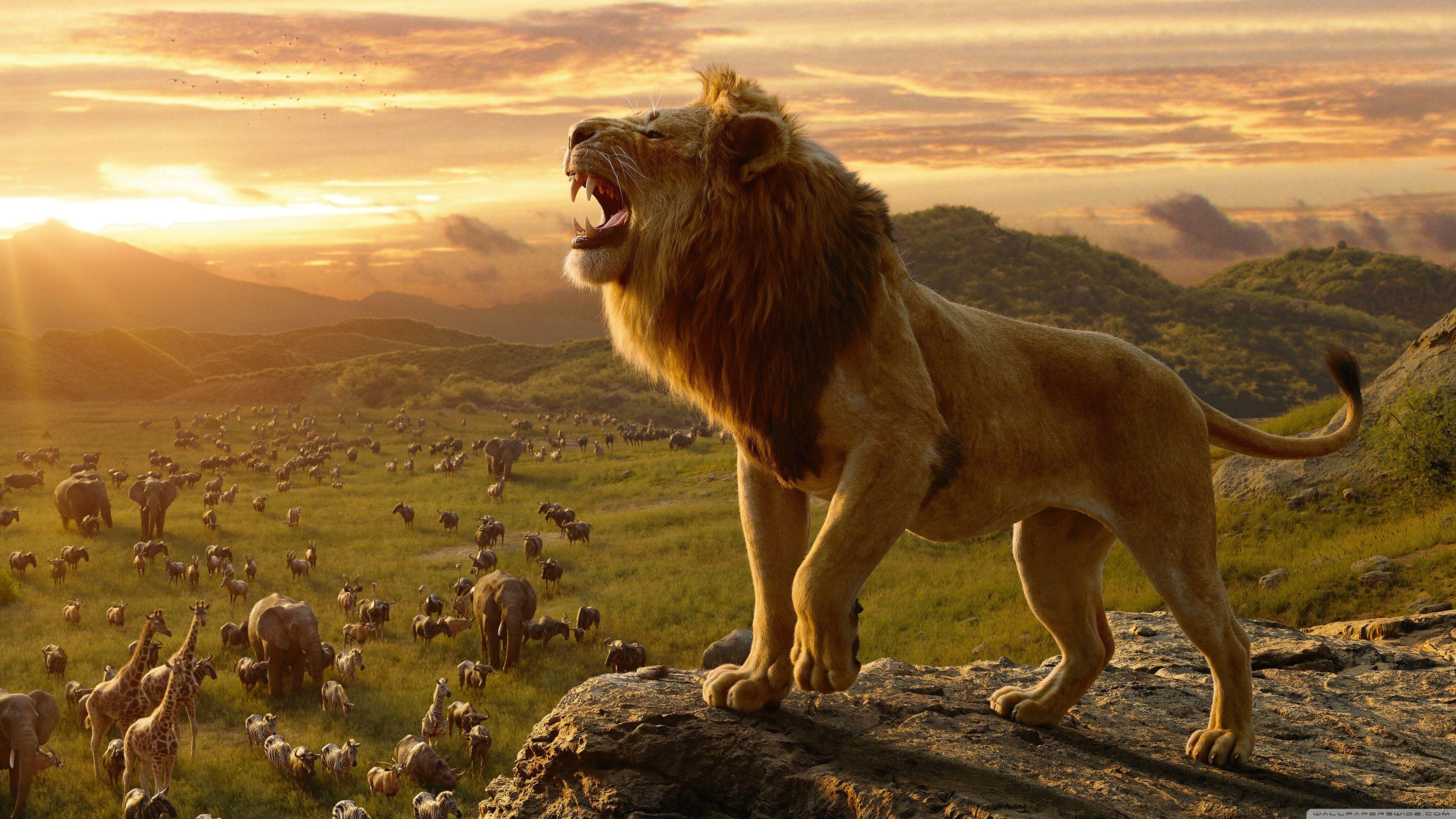 Gratuito immagini Lion King Wallpapers Top Free Lion King Backgrounds aggiornato da parte di