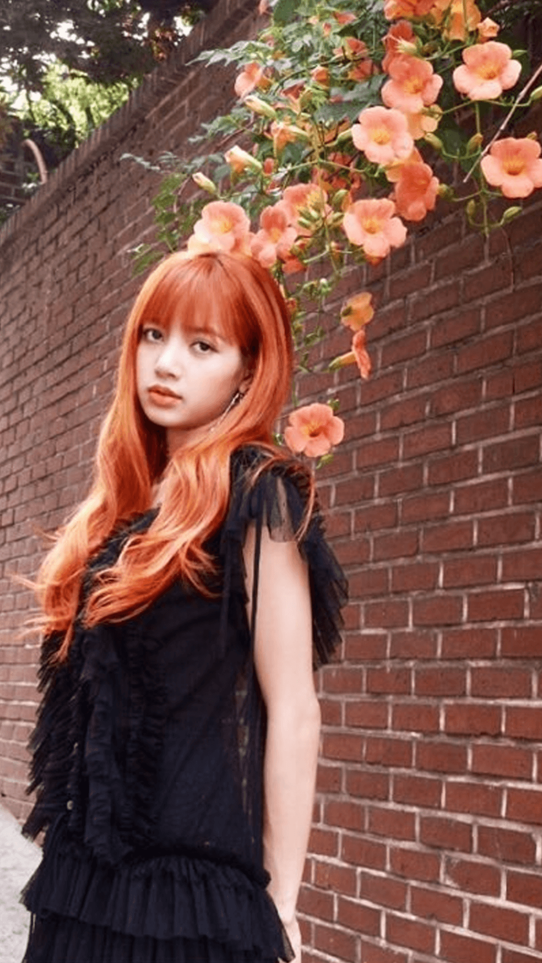 cartoon lisa blackpink cute wallpaper on lisa cute wallpapers