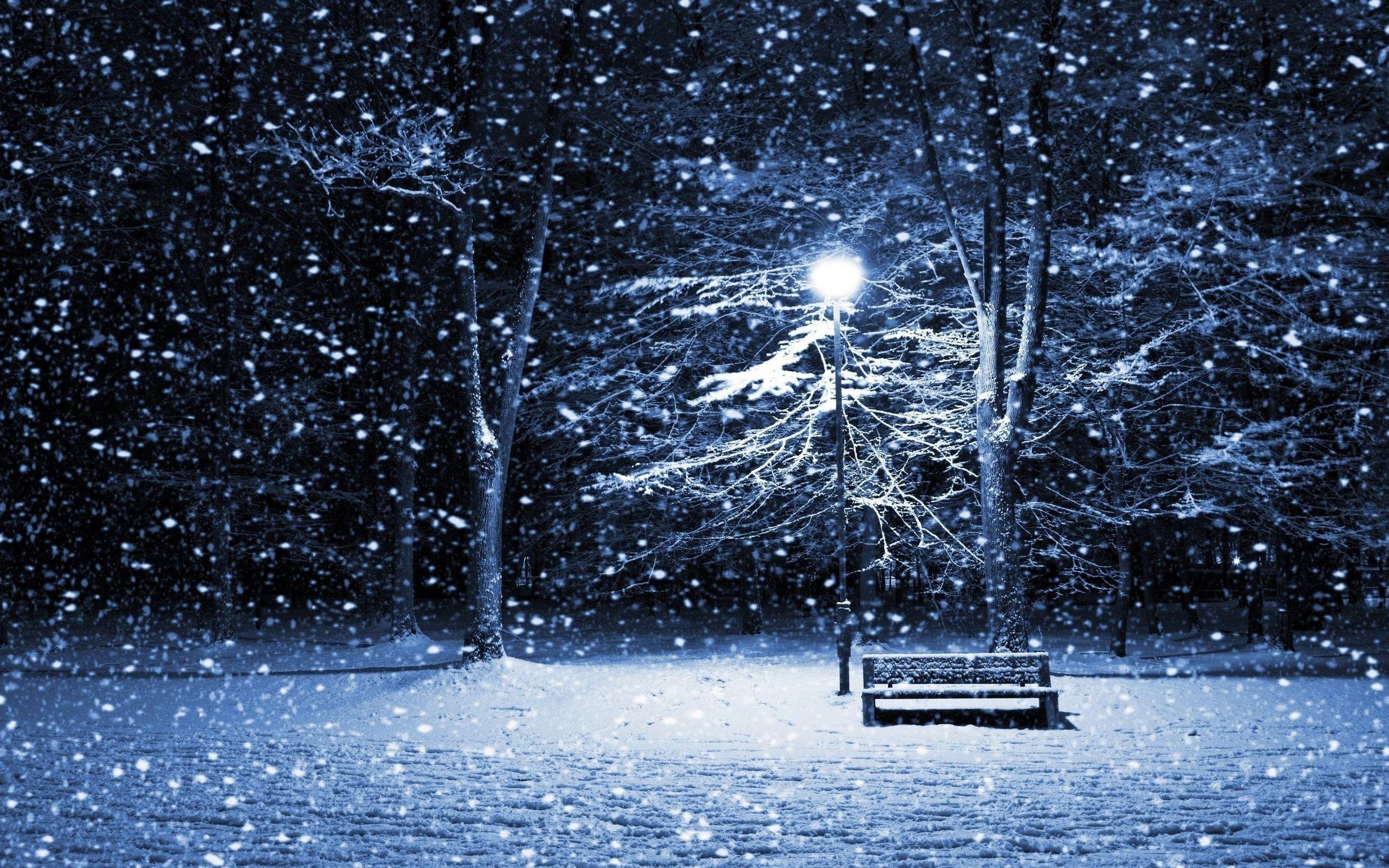 Winter night wallpapers